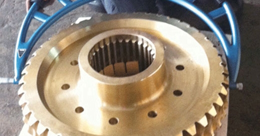 Large Worm Gear