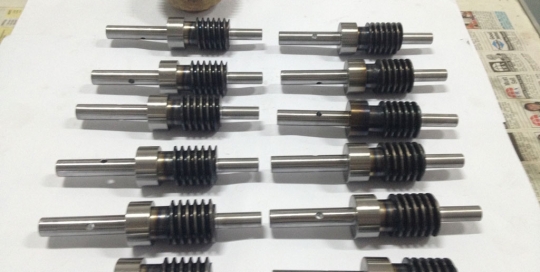 Worm Shaft