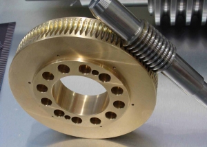 Worm Wheel And Worm Shaft