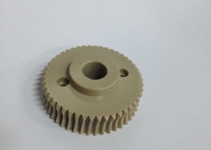 Worm Gear (Material - Peek)
